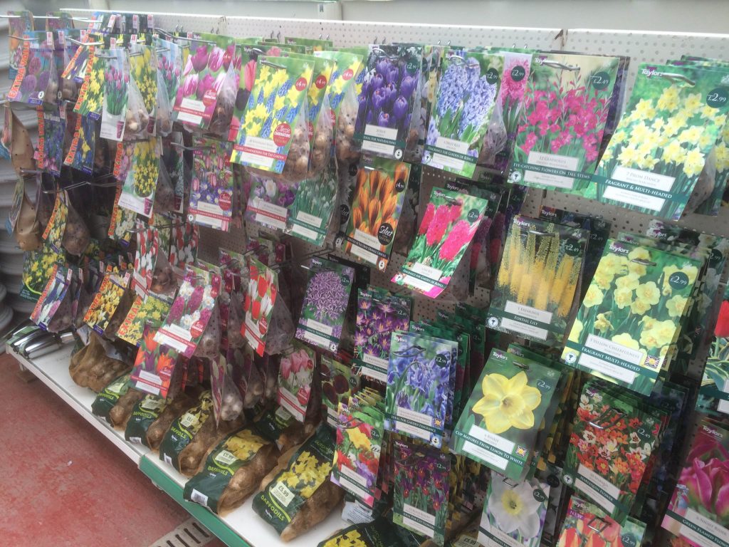 bulbs-sharnford-garden-centre